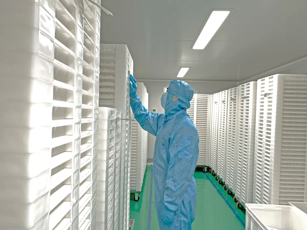 ATXA · Drying room · ATXA production team
